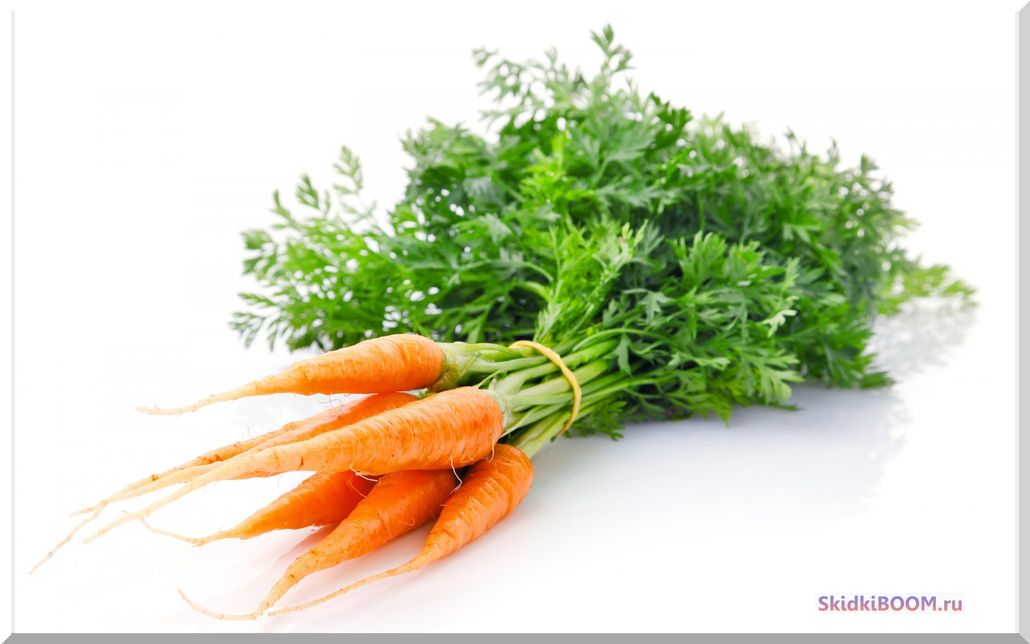 Чем полезна морковь для организма